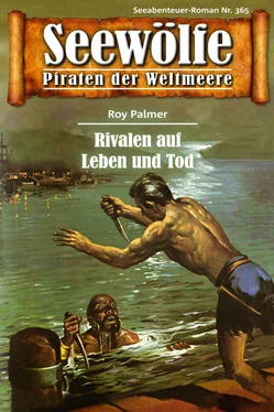 Roy Palmer Seewölfe - Piraten der Weltmeere 365 обложка книги