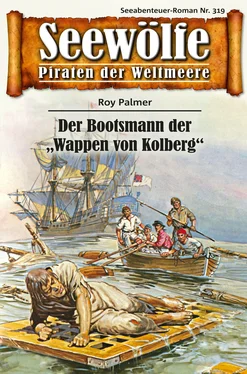 Roy Palmer Seewölfe - Piraten der Weltmeere 319 обложка книги