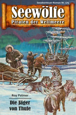 Roy Palmer Seewölfe - Piraten der Weltmeere 175 обложка книги