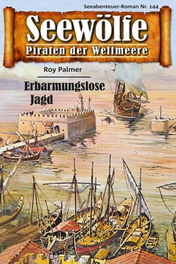 Roy Palmer Seewölfe - Piraten der Weltmeere 144 обложка книги