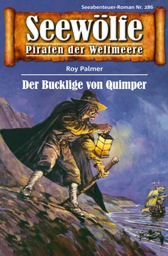 Roy Palmer Seewölfe - Piraten der Weltmeere 286 обложка книги