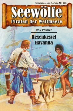 Roy Palmer Seewölfe - Piraten der Weltmeere 412 обложка книги