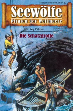 Roy Palmer Seewölfe - Piraten der Weltmeere 30 обложка книги