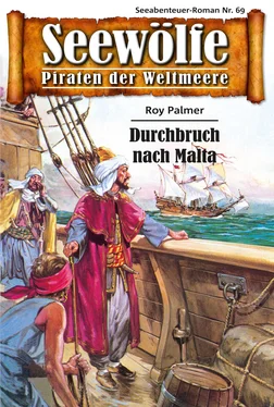 Roy Palmer Seewölfe - Piraten der Weltmeere 69 обложка книги