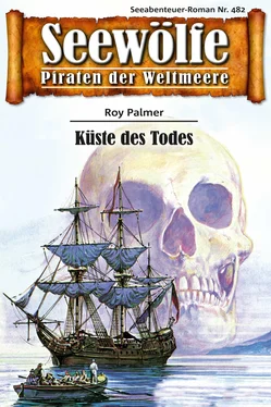 Roy Palmer Seewölfe - Piraten der Weltmeere 482 обложка книги