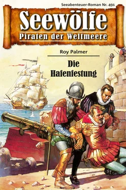 Roy Palmer Seewölfe - Piraten der Weltmeere 491 обложка книги