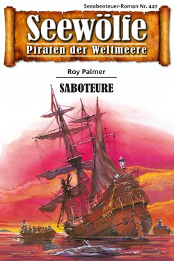 Roy Palmer Seewölfe - Piraten der Weltmeere 447 обложка книги