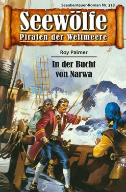 Roy Palmer Seewölfe - Piraten der Weltmeere 318 обложка книги