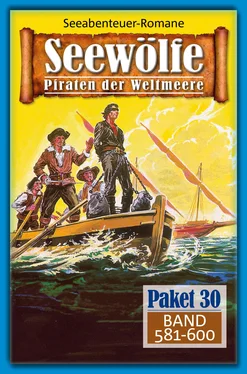 Roy Palmer Seewölfe Paket 30 обложка книги