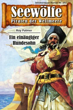 Roy Palmer Seewölfe - Piraten der Weltmeere 484 обложка книги