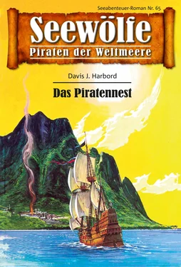 John Curtis Seewölfe - Piraten der Weltmeere 65 обложка книги