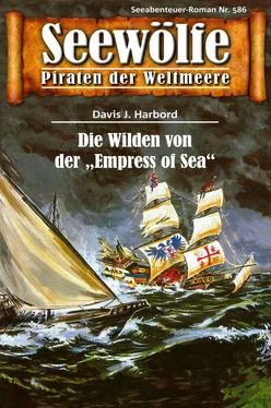 Davis J.Harbord Seewölfe - Piraten der Weltmeere 586 обложка книги