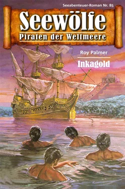 Roy Palmer Seewölfe - Piraten der Weltmeere 85 обложка книги