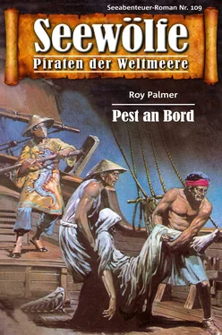 Roy Palmer Seewölfe - Piraten der Weltmeere 109 обложка книги