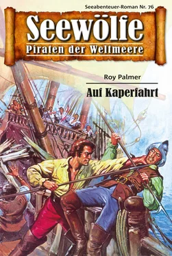 Roy Palmer Seewölfe - Piraten der Weltmeere 76 обложка книги