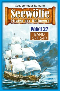 Roy Palmer Seewölfe Paket 27 обложка книги