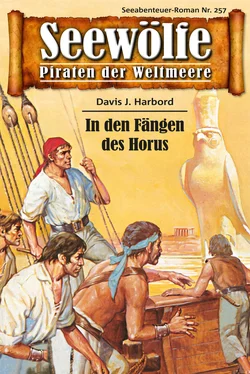 Davis J.Harbord Seewölfe - Piraten der Weltmeere 257 обложка книги