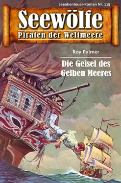 Roy Palmer Seewölfe - Piraten der Weltmeere 115 обложка книги