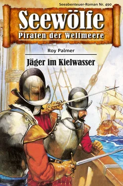 Roy Palmer Seewölfe - Piraten der Weltmeere 490 обложка книги