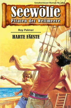 Roy Palmer Seewölfe - Piraten der Weltmeere 483 обложка книги