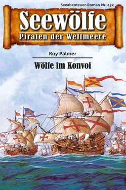 Roy Palmer Seewölfe - Piraten der Weltmeere 432 обложка книги