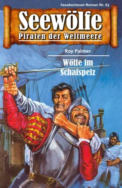 Roy Palmer Seewölfe - Piraten der Weltmeere 63 обложка книги