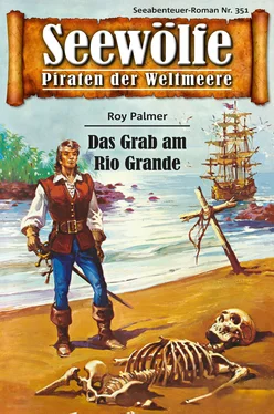 Roy Palmer Seewölfe - Piraten der Weltmeere 351 обложка книги