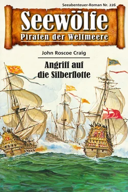 John Roscoe Craig Seewölfe - Piraten der Weltmeere 226 обложка книги