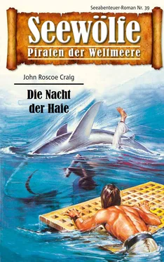John Roscoe Craig Seewölfe - Piraten der Weltmeere 39 обложка книги
