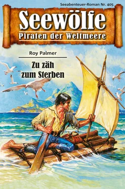 Roy Palmer Seewölfe - Piraten der Weltmeere 405 обложка книги