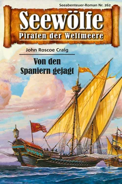 John Roscoe Craig Seewölfe - Piraten der Weltmeere 262 обложка книги