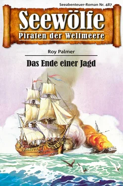 Roy Palmer Seewölfe - Piraten der Weltmeere 487 обложка книги