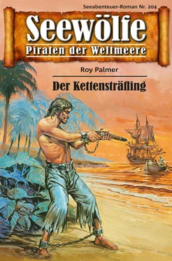 Roy Palmer Seewölfe - Piraten der Weltmeere 204 обложка книги