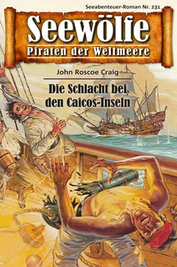 John Roscoe Craig Seewölfe - Piraten der Weltmeere 231 обложка книги