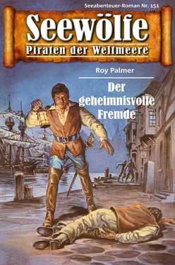 Roy Palmer Seewölfe - Piraten der Weltmeere 151 обложка книги