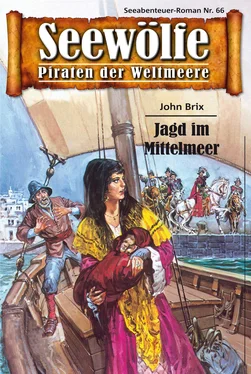 John Brix Seewölfe - Piraten der Weltmeere 66 обложка книги