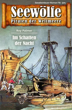 Roy Palmer Seewölfe - Piraten der Weltmeere 505 обложка книги