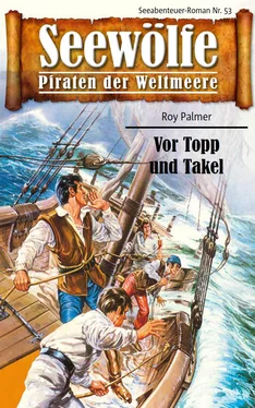 Roy Palmer Seewölfe - Piraten der Weltmeere 53 обложка книги