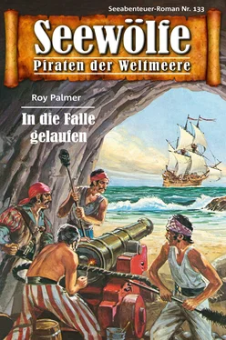 Roy Palmer Seewölfe - Piraten der Weltmeere 133 обложка книги