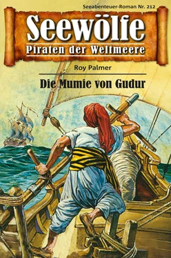 Roy Palmer Seewölfe - Piraten der Weltmeere 212 обложка книги