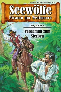 Roy Palmer Seewölfe - Piraten der Weltmeere 475 обложка книги