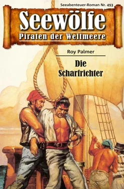 Roy Palmer Seewölfe - Piraten der Weltmeere 493 обложка книги