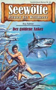 Roy Palmer Seewölfe - Piraten der Weltmeere 33 обложка книги