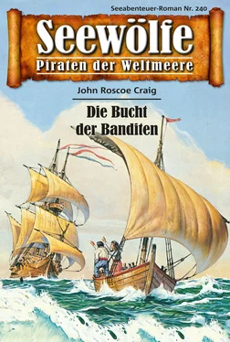 John Roscoe Craig Seewölfe - Piraten der Weltmeere 240 обложка книги
