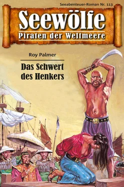 Roy Palmer Seewölfe - Piraten der Weltmeere 113 обложка книги