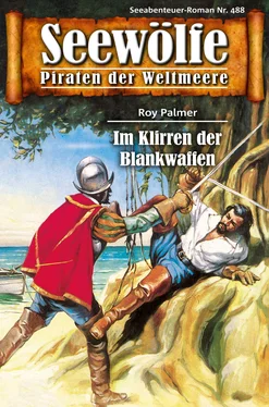 Roy Palmer Seewölfe - Piraten der Weltmeere 488 обложка книги