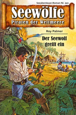 Roy Palmer Seewölfe - Piraten der Weltmeere 341 обложка книги