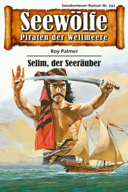 Roy Palmer Seewölfe - Piraten der Weltmeere 242 обложка книги