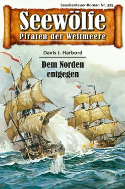 Davis J.Harbord Seewölfe - Piraten der Weltmeere 325 обложка книги