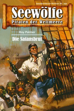 Roy Palmer Seewölfe - Piraten der Weltmeere 291 обложка книги